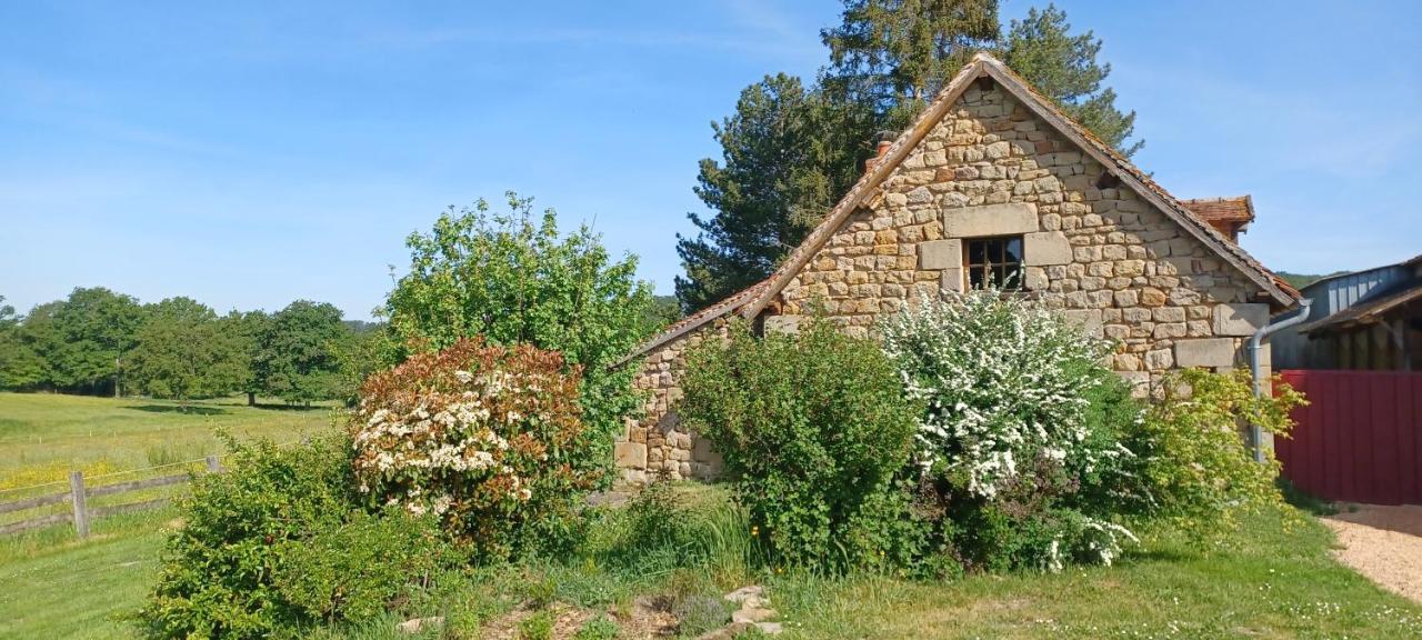 Vila Domaine De Reniere Buxières-les-Mines Exteriér fotografie